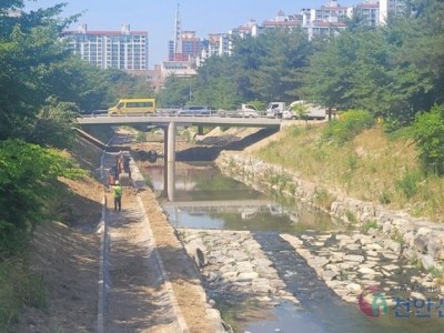 장재천 지방하천 정비사업 (천안 볼당5 교 가설교량 공사)