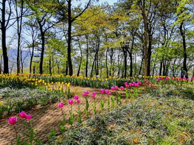 서천군 오성리 편안한 꽃길 조성사업